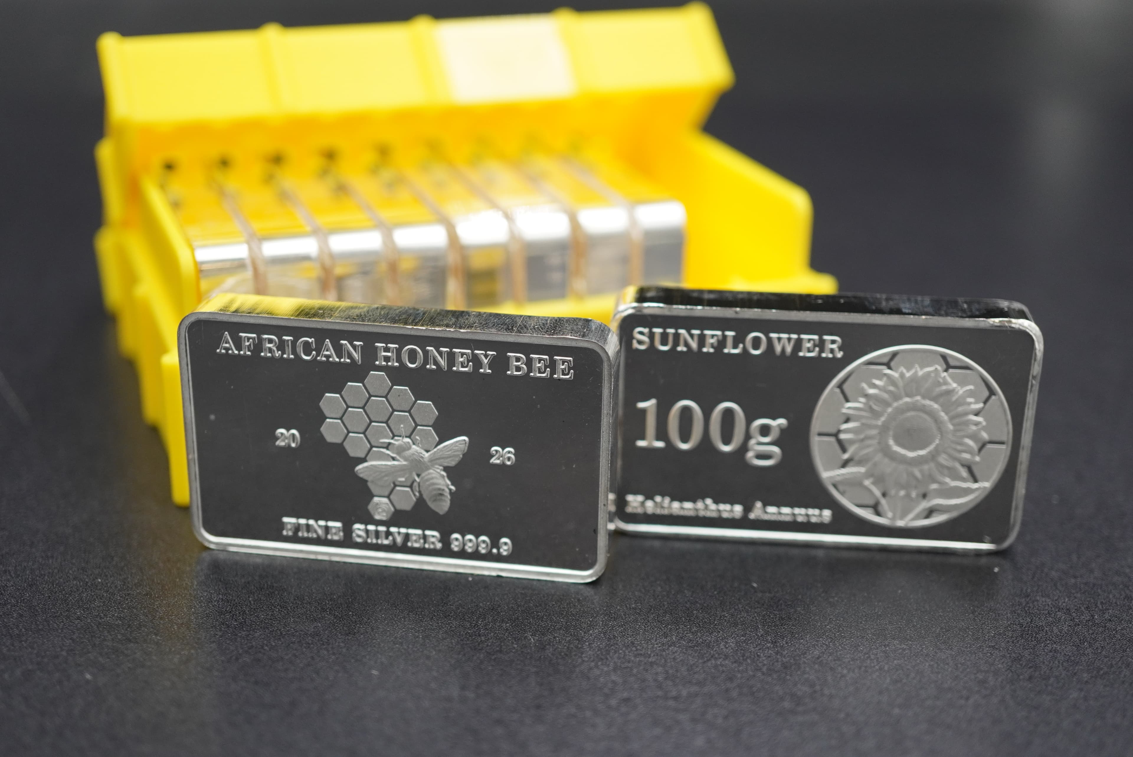 2026 SAAND African Honeybee Silver 100g Bar Box