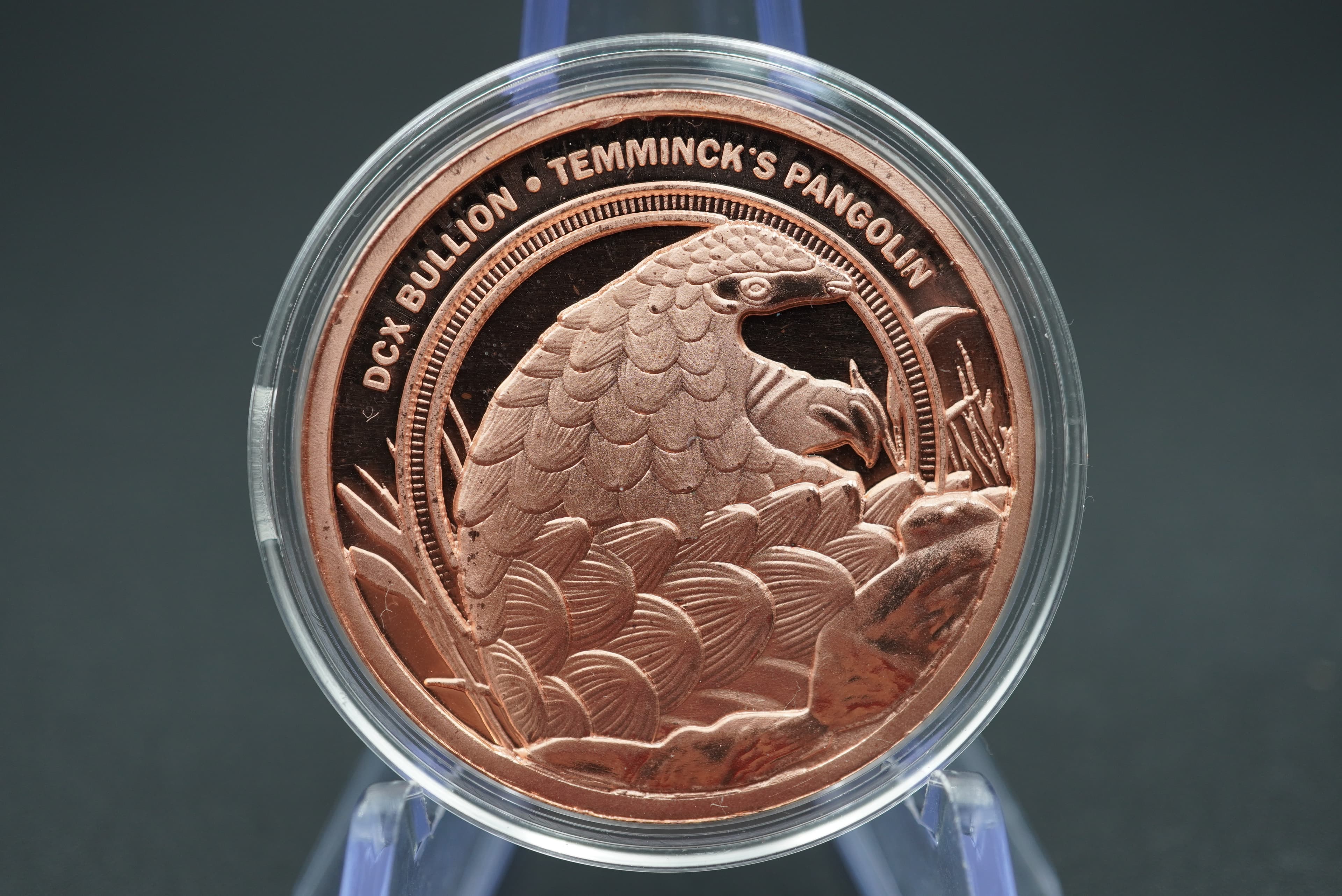 DCX Bullion Temminck's Pangolin copper 1oz coin