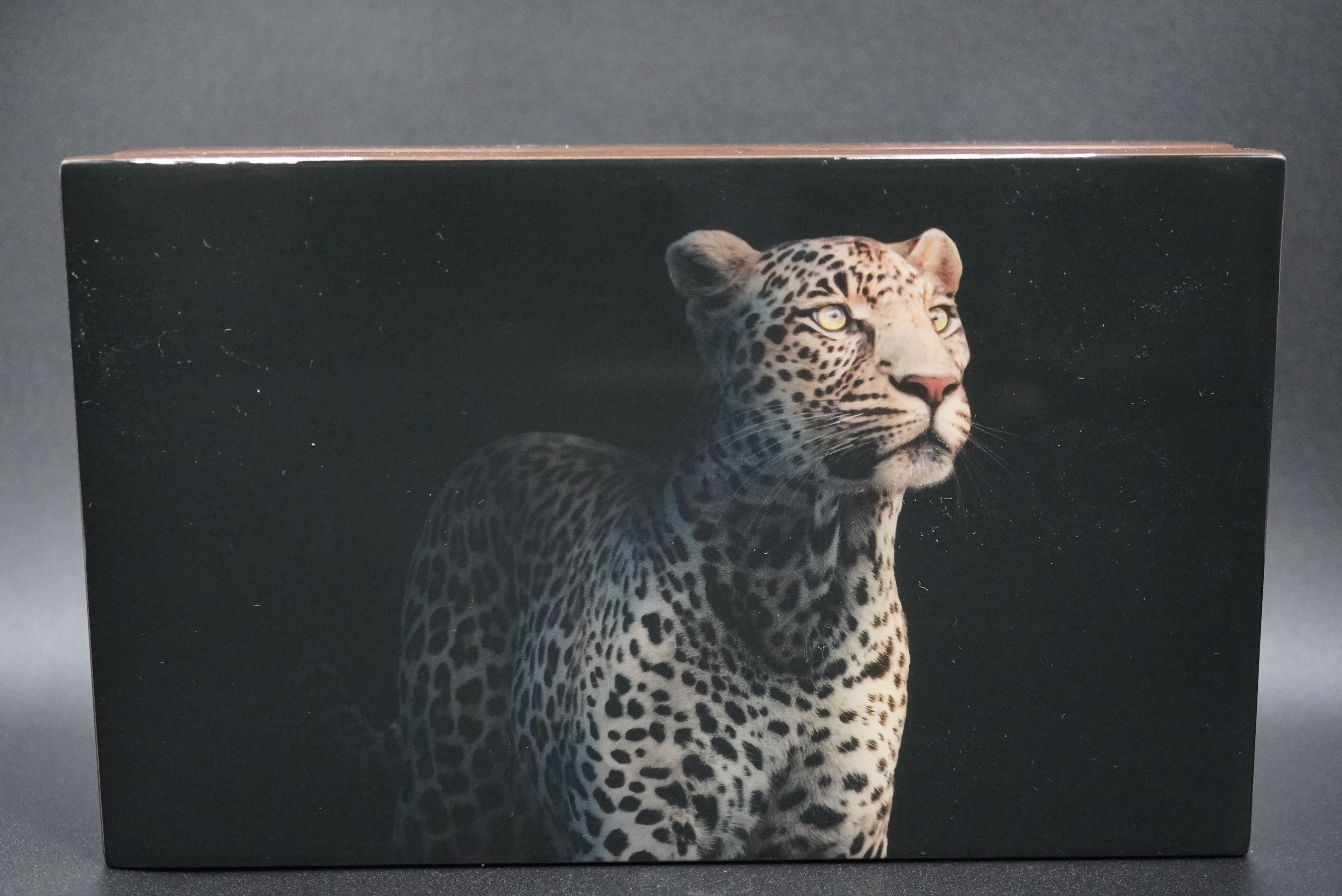 2023 S.Africa Big Five Double Proof Leopard Silver Set Coin Series II