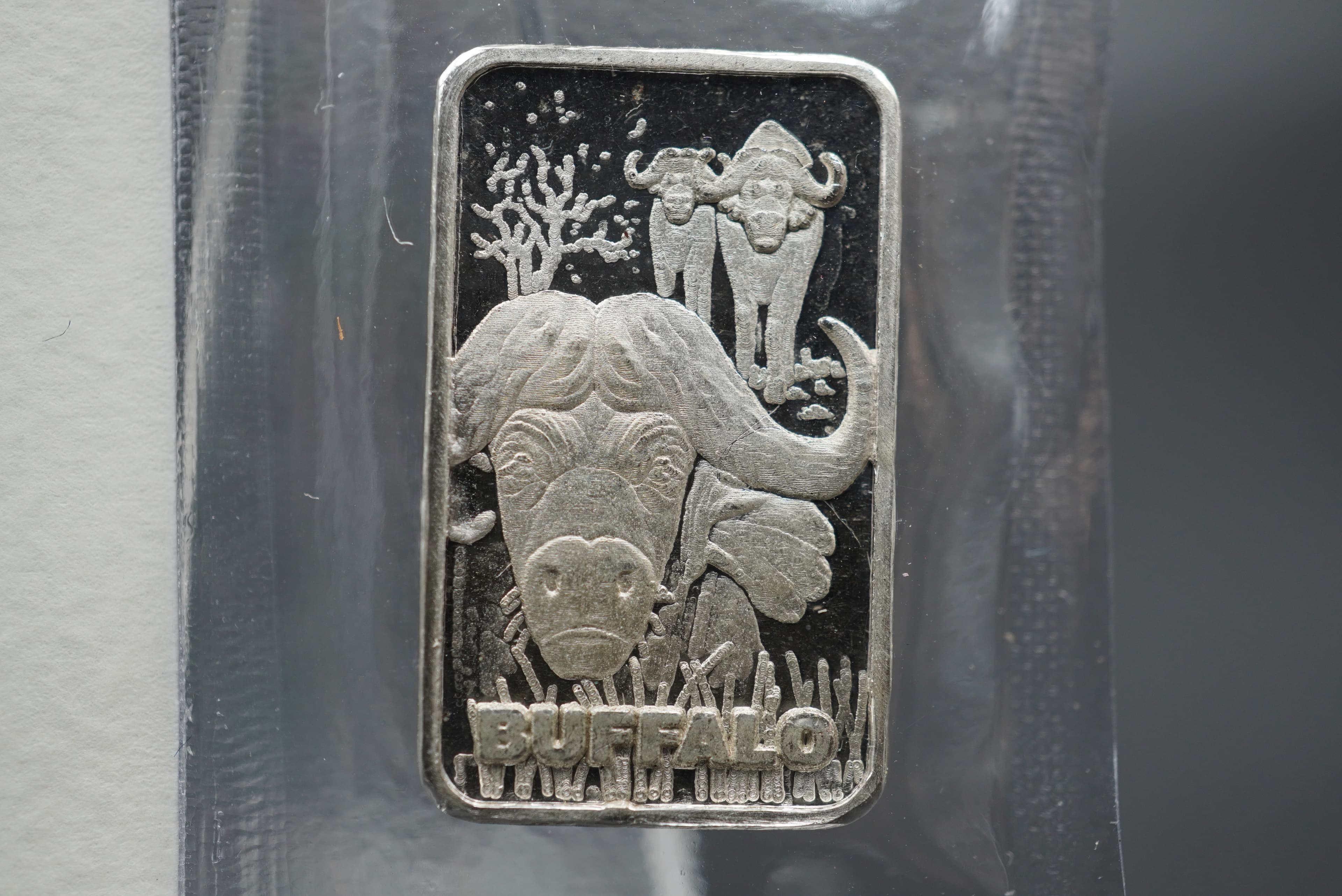 GRC buffalo minted bar 10g silver