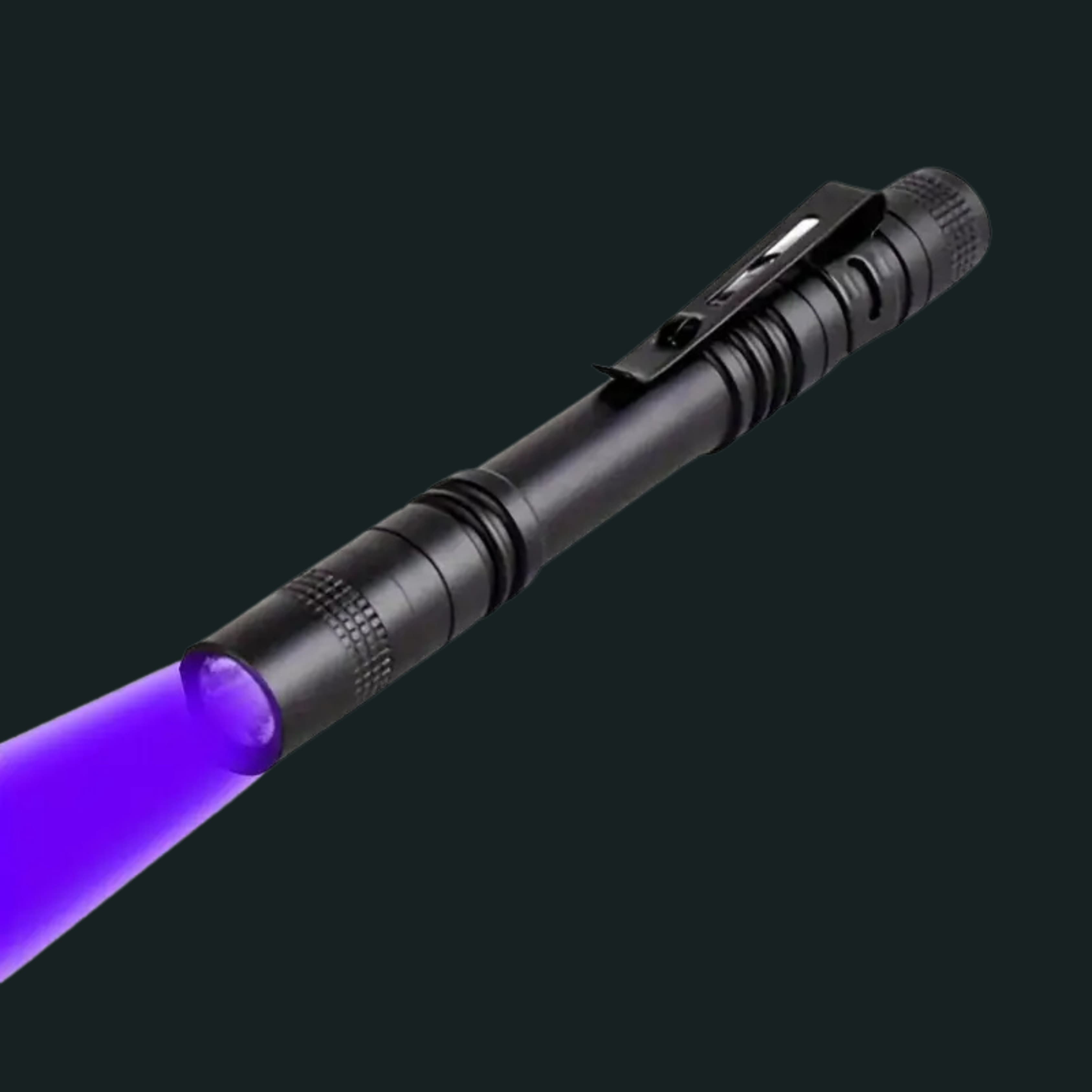 Blacklight Flashlight Pen (395nm)