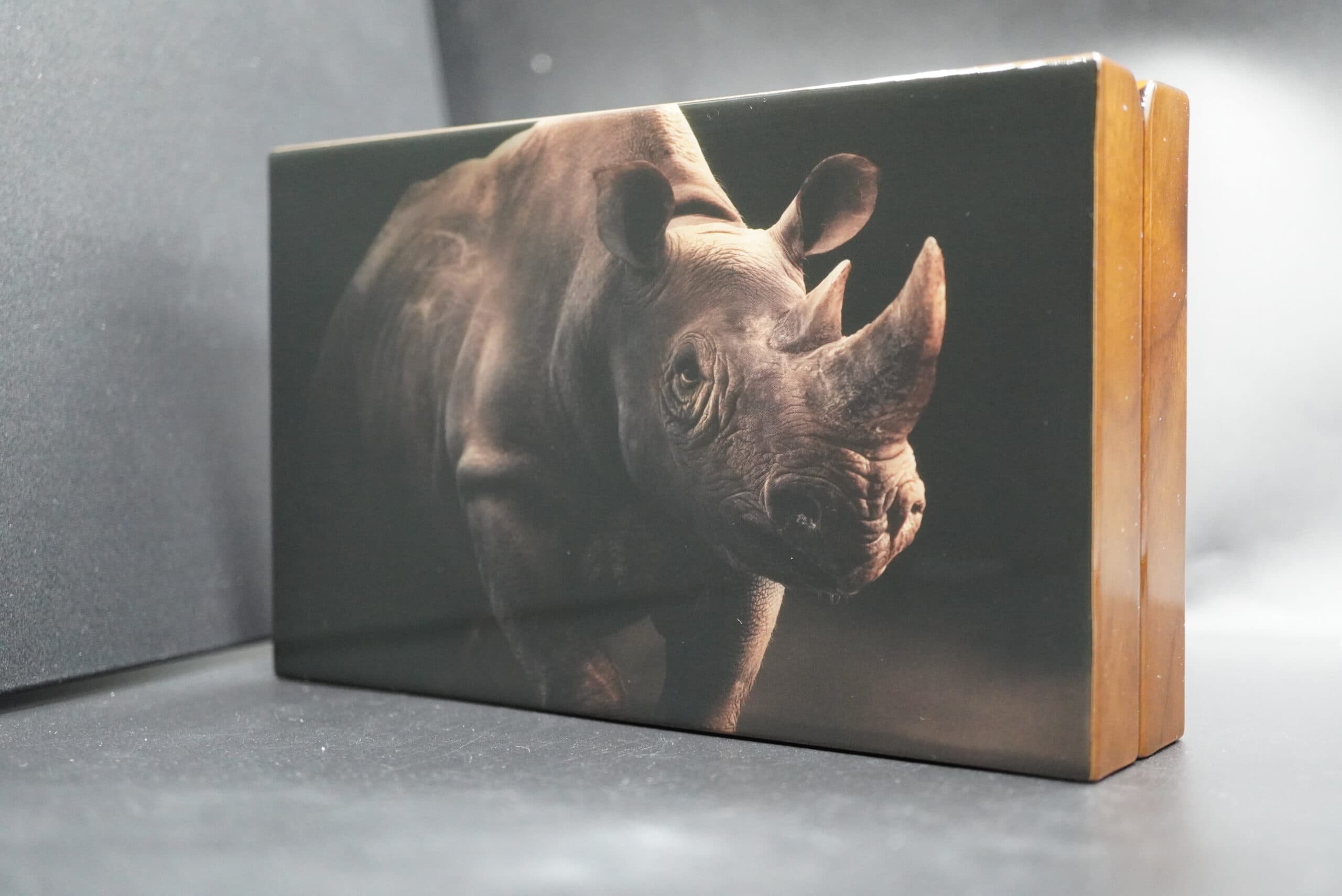 2022 S.Africa Big Five Rhino Double Proof silver set
