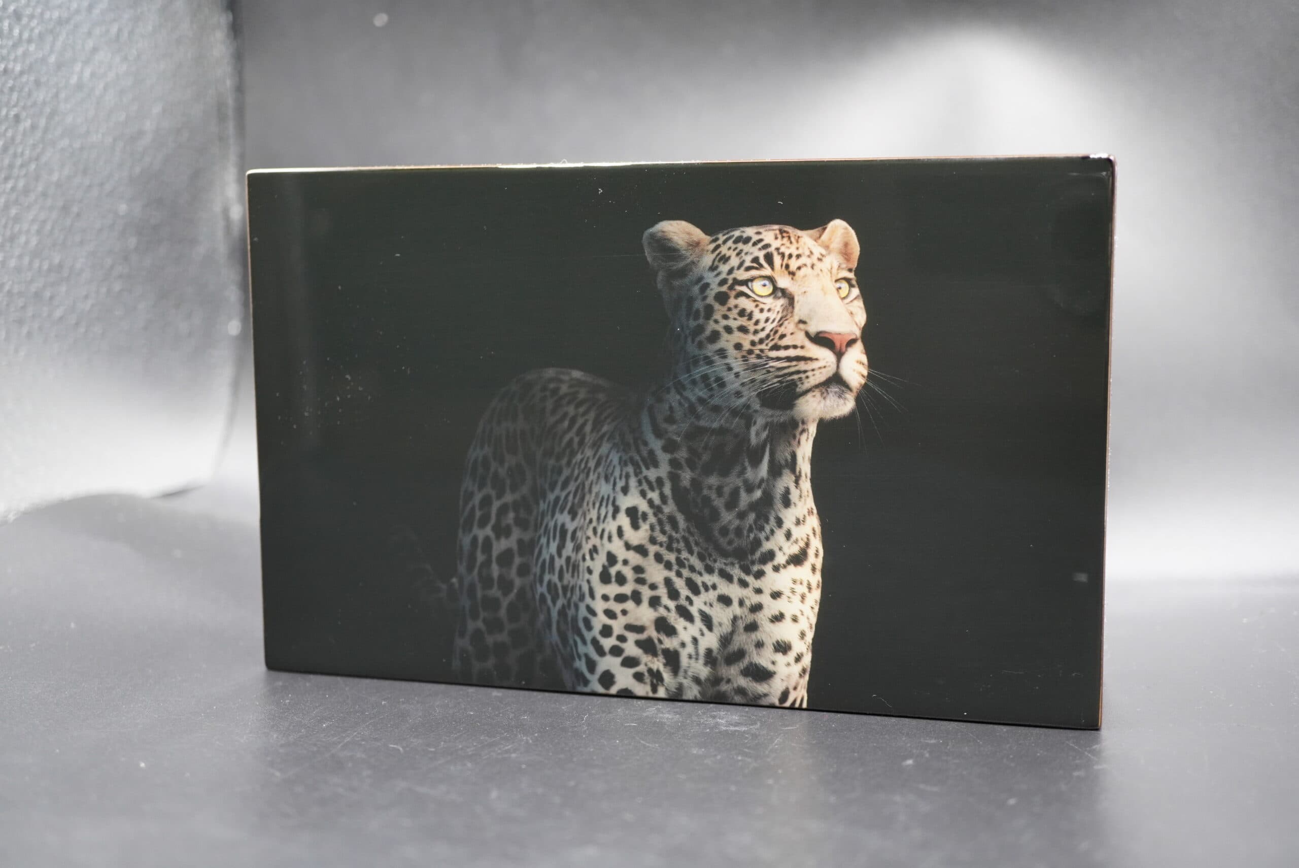 2023 S.Africa Big Five Leopard Series III Double Proof silver set