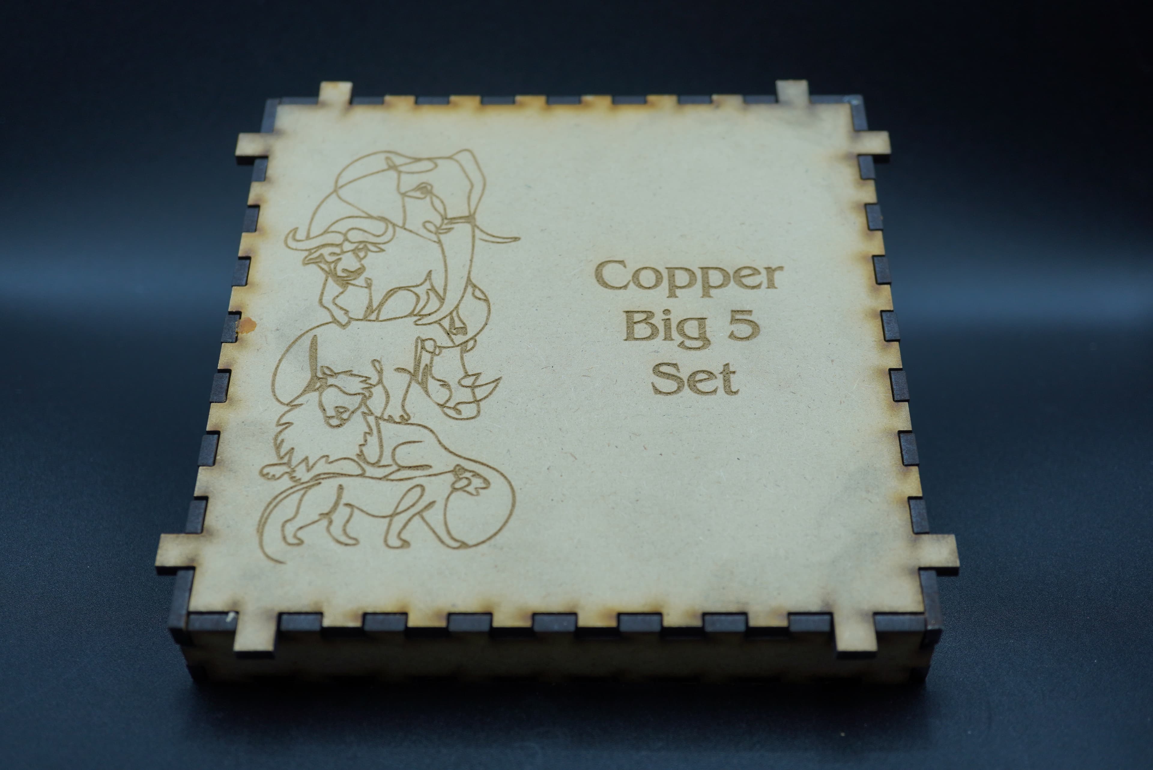 GRC Pure Copper Big Five Coin Set
