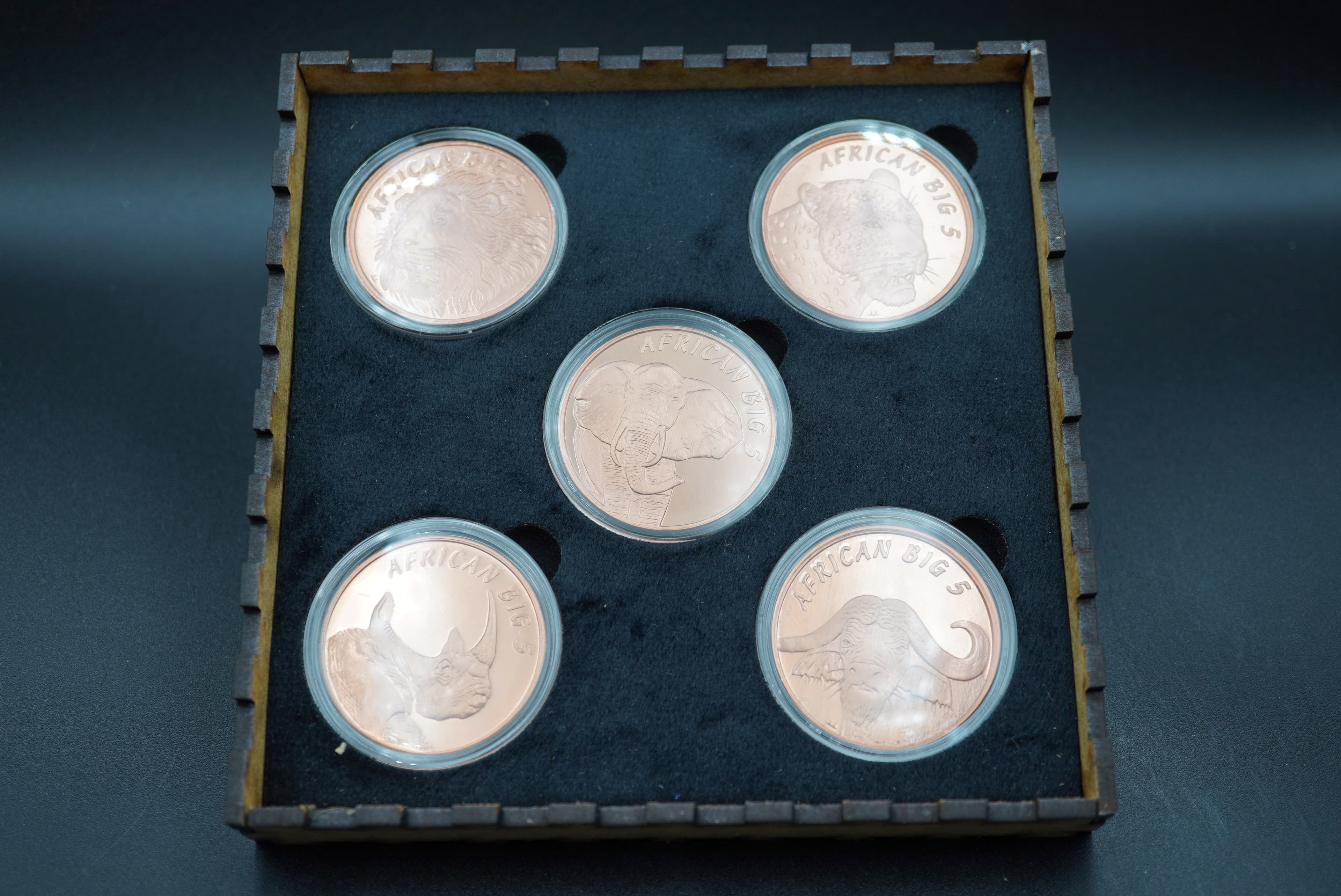 GRC Pure Copper Big Five Coin Set