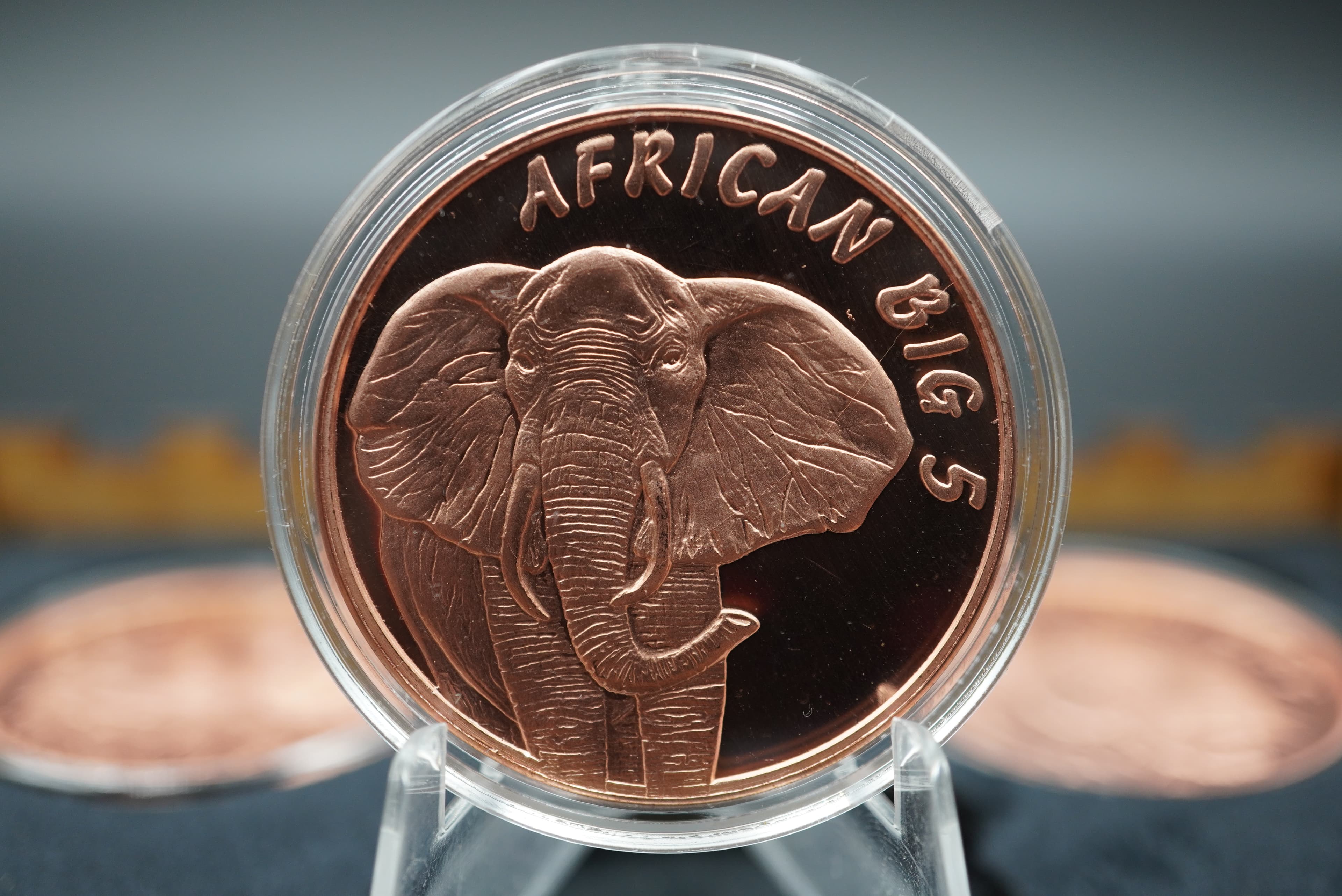 GRC Pure Copper Big Five Coin Set