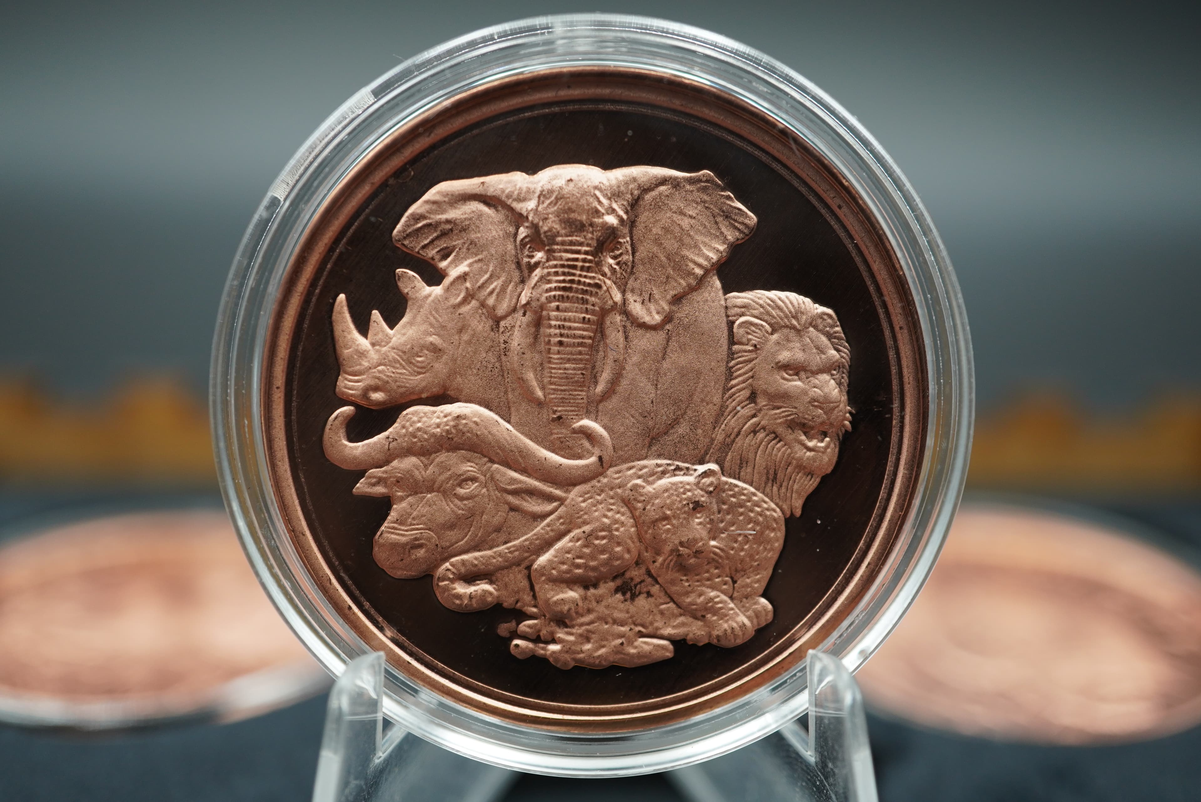GRC Pure Copper Big Five Coin Set