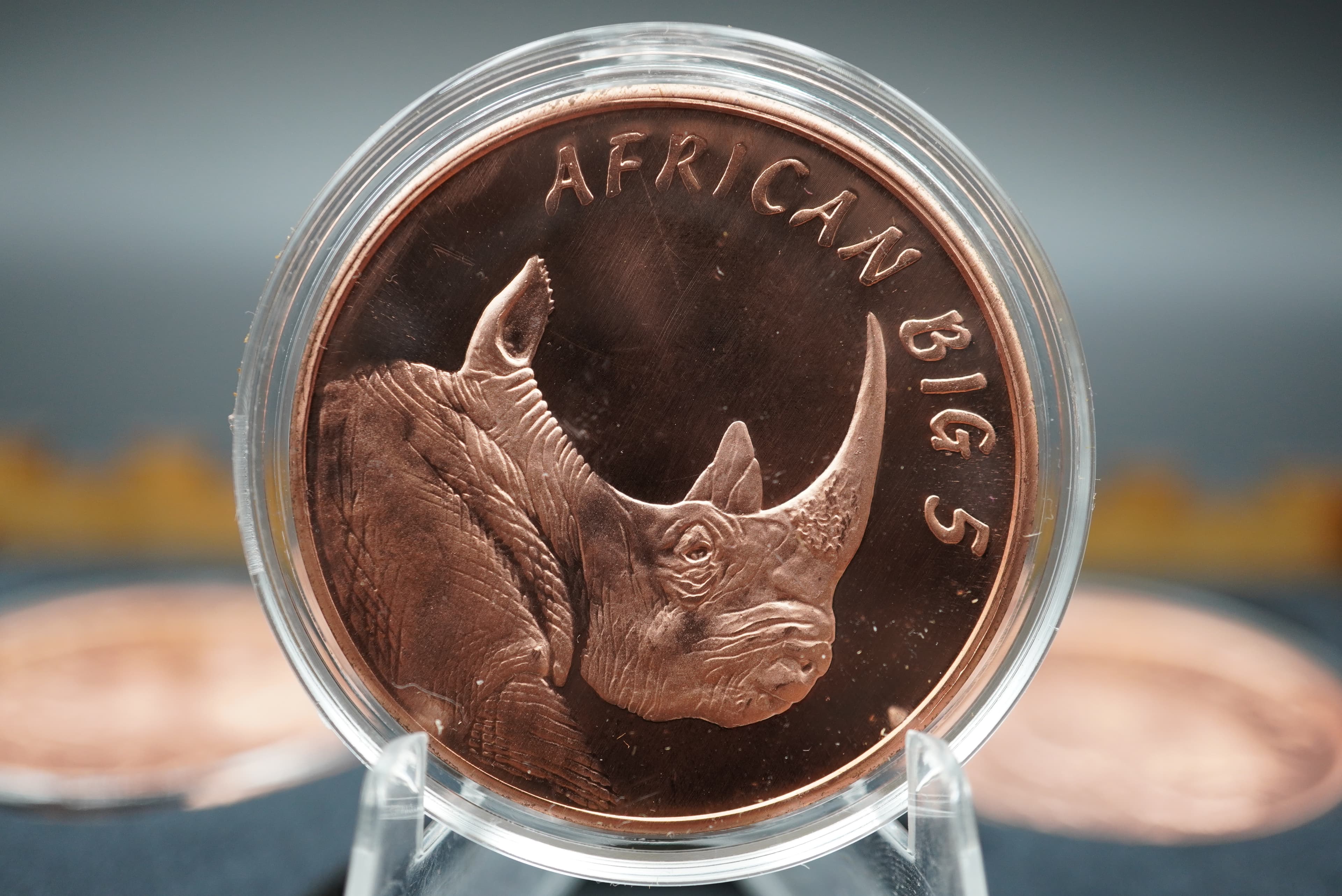 GRC Pure Copper Big Five Coin Set
