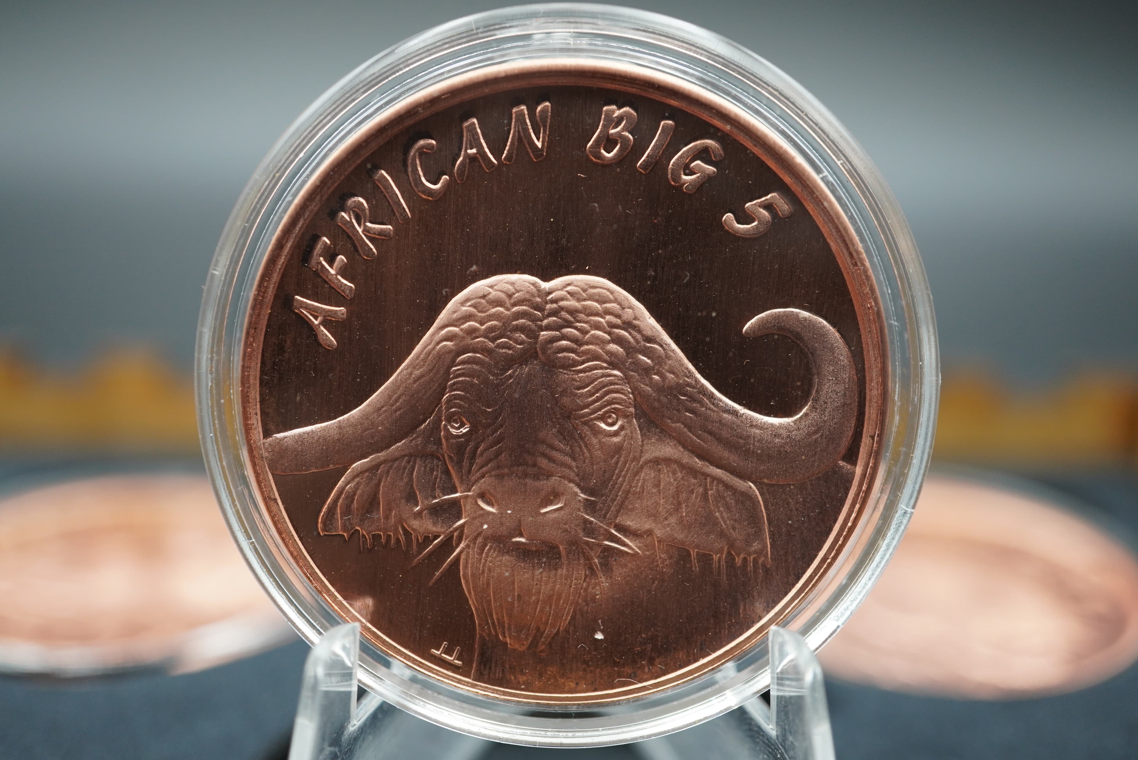 GRC Pure Copper Big Five Coin Set