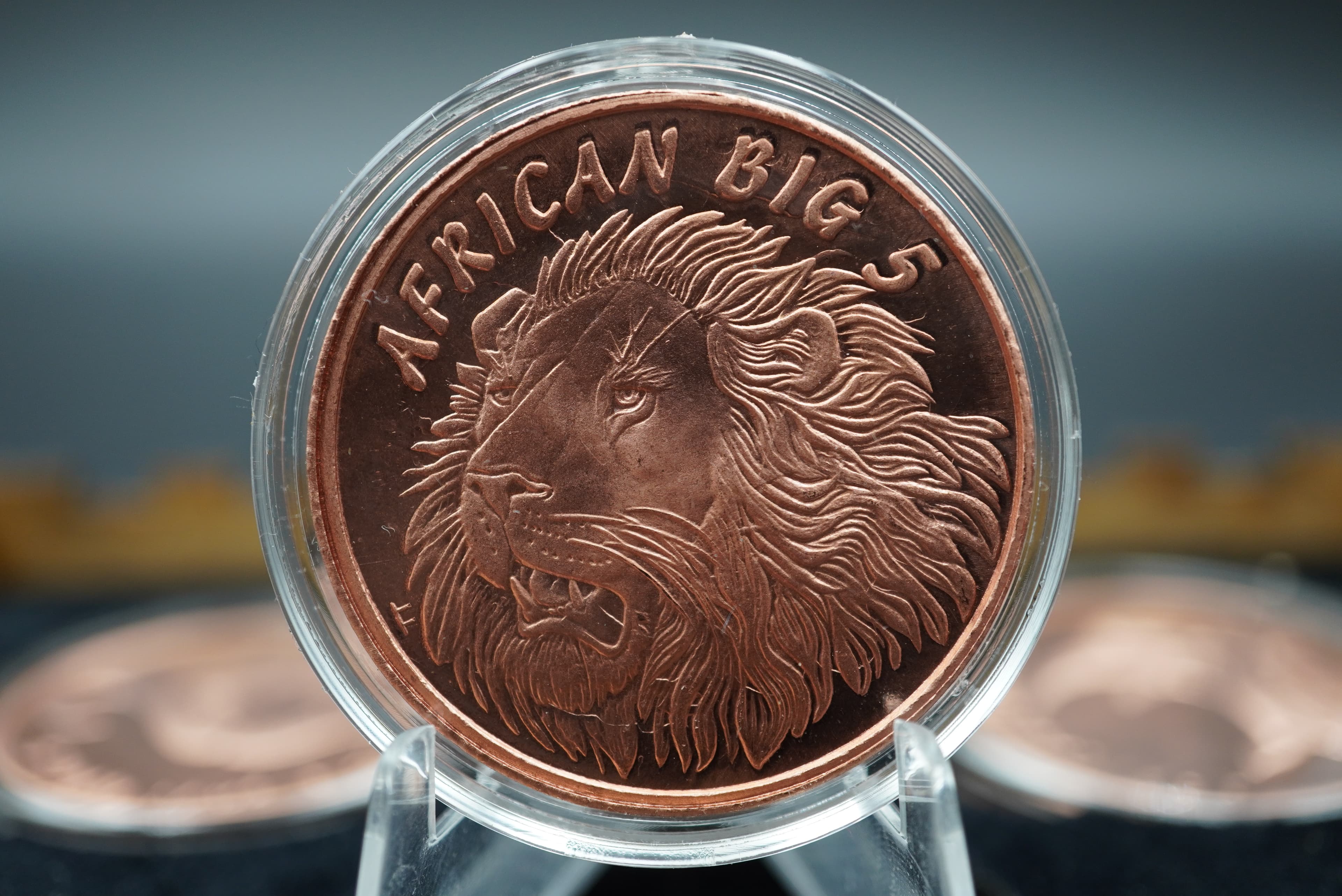 GRC Pure Copper Big Five Coin Set