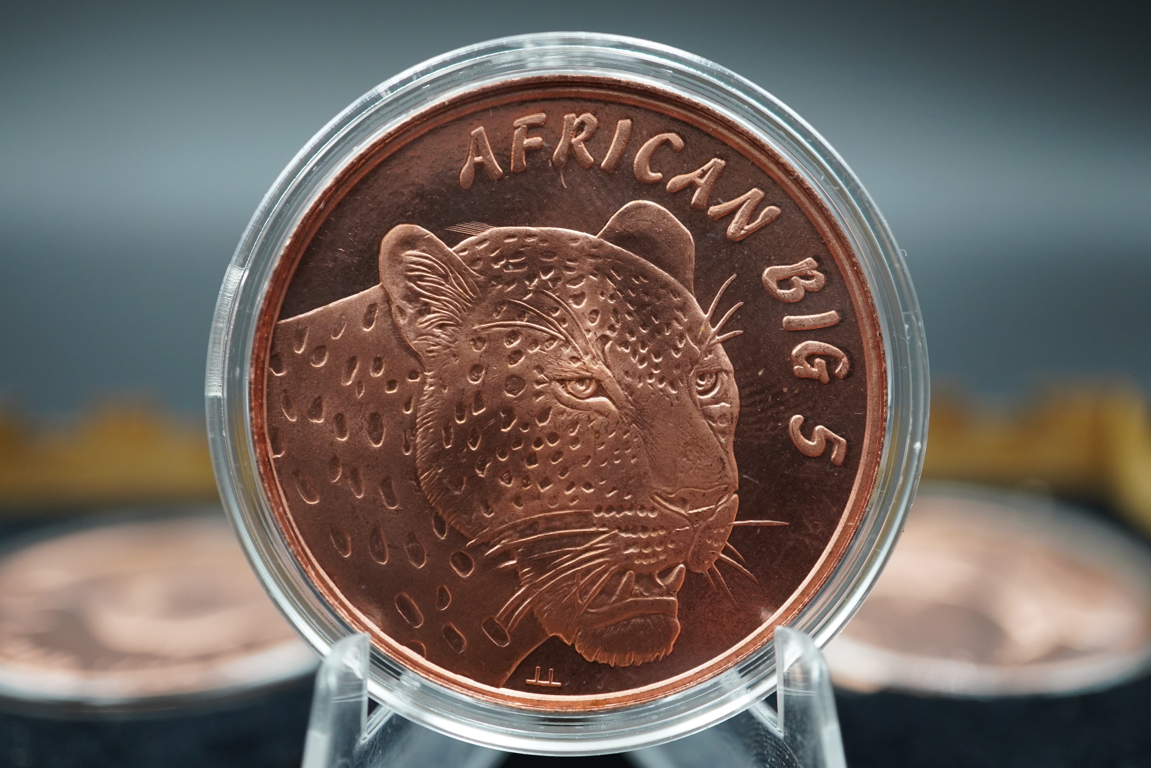 GRC Pure Copper Big Five Coin Set