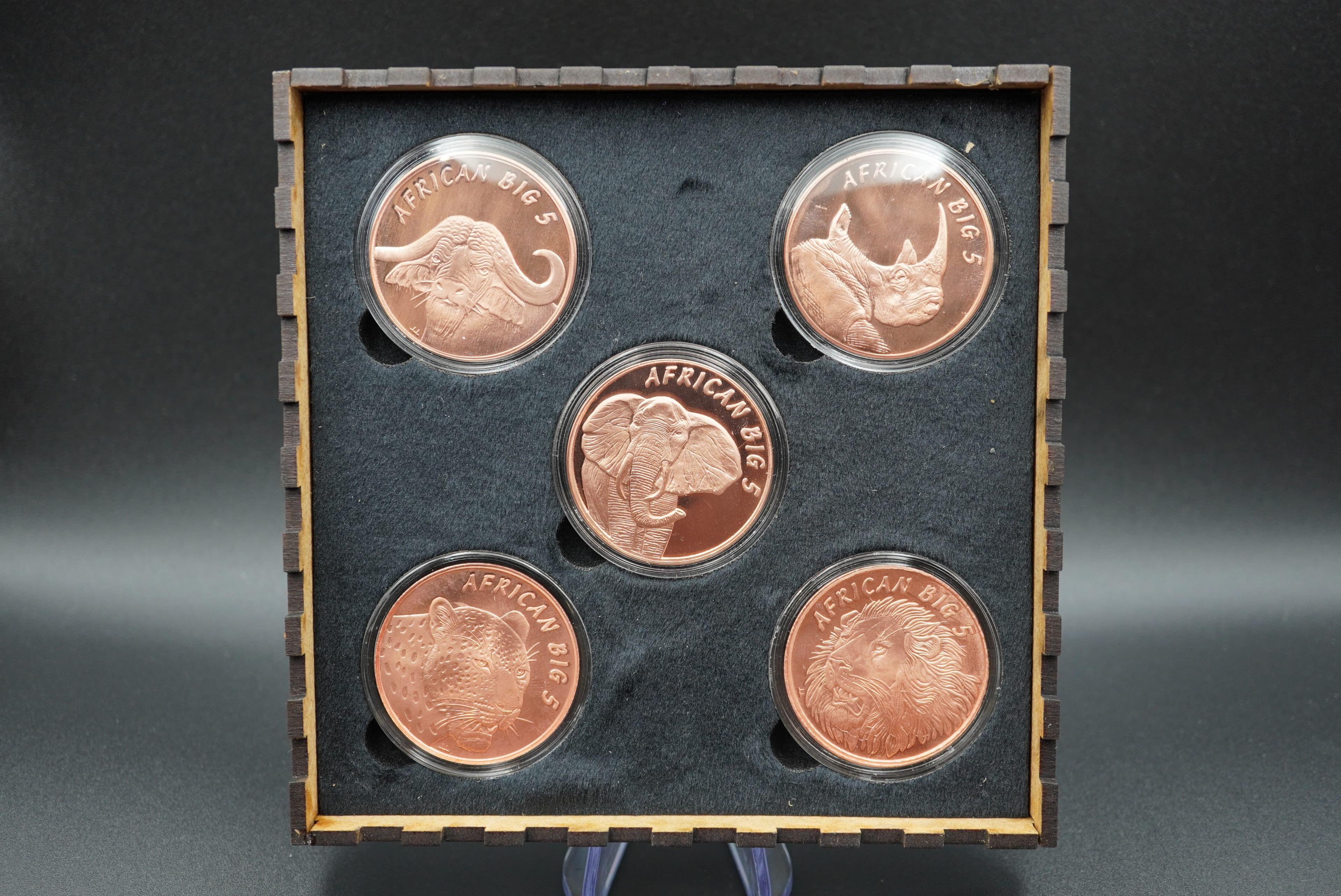 GRC Pure Copper Big Five Coin Set