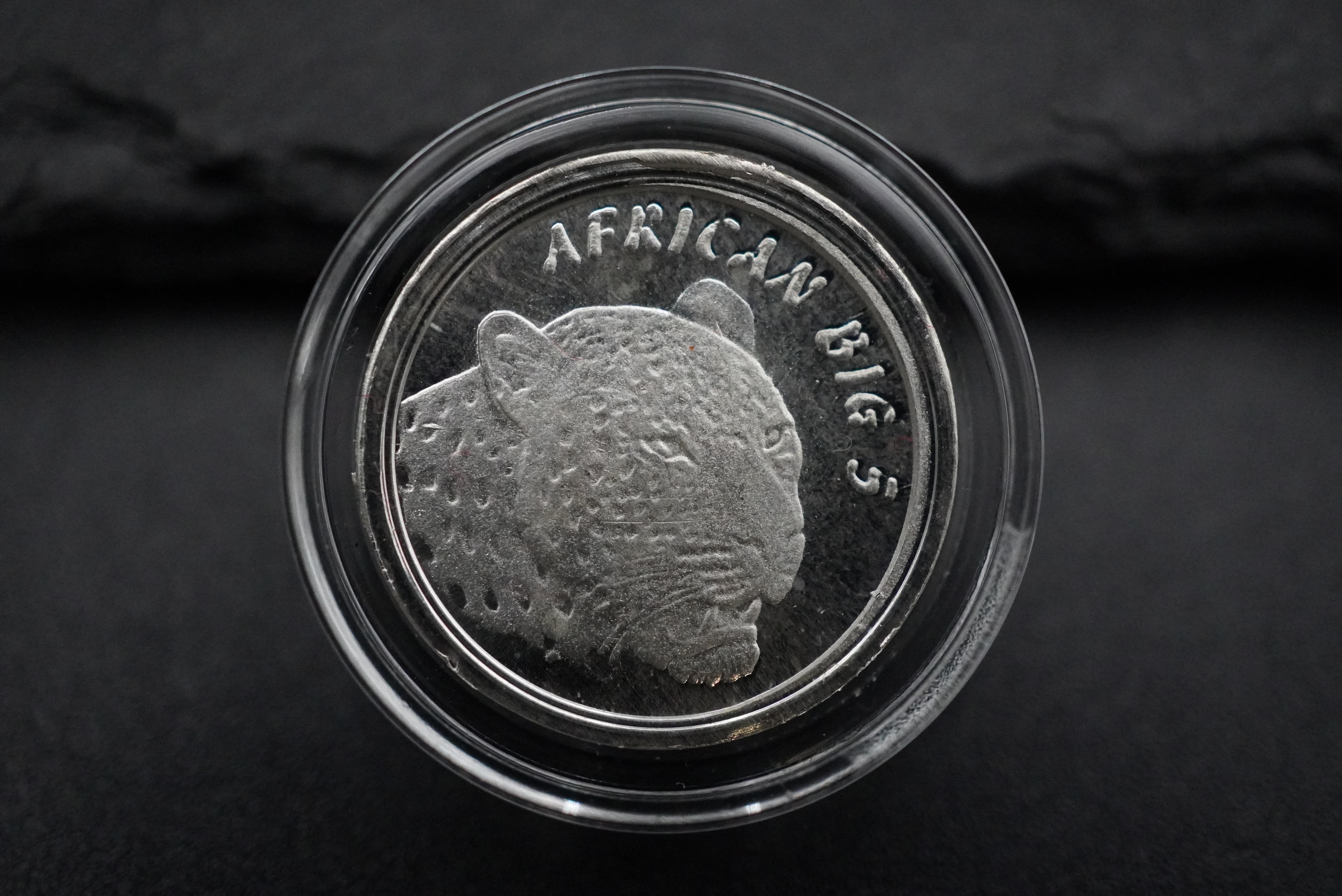 GRC Big Five x5 1/10oz Fine Silver Meddalion Set