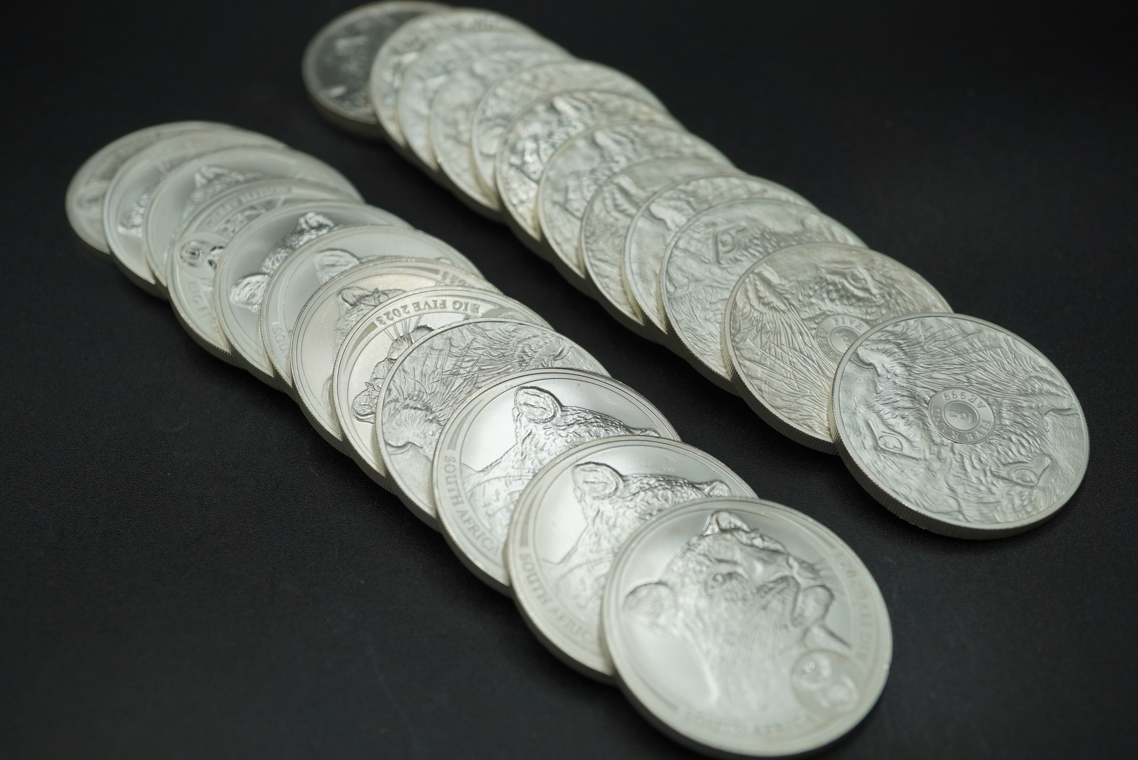 2023 BIG Five 1oz Leopard