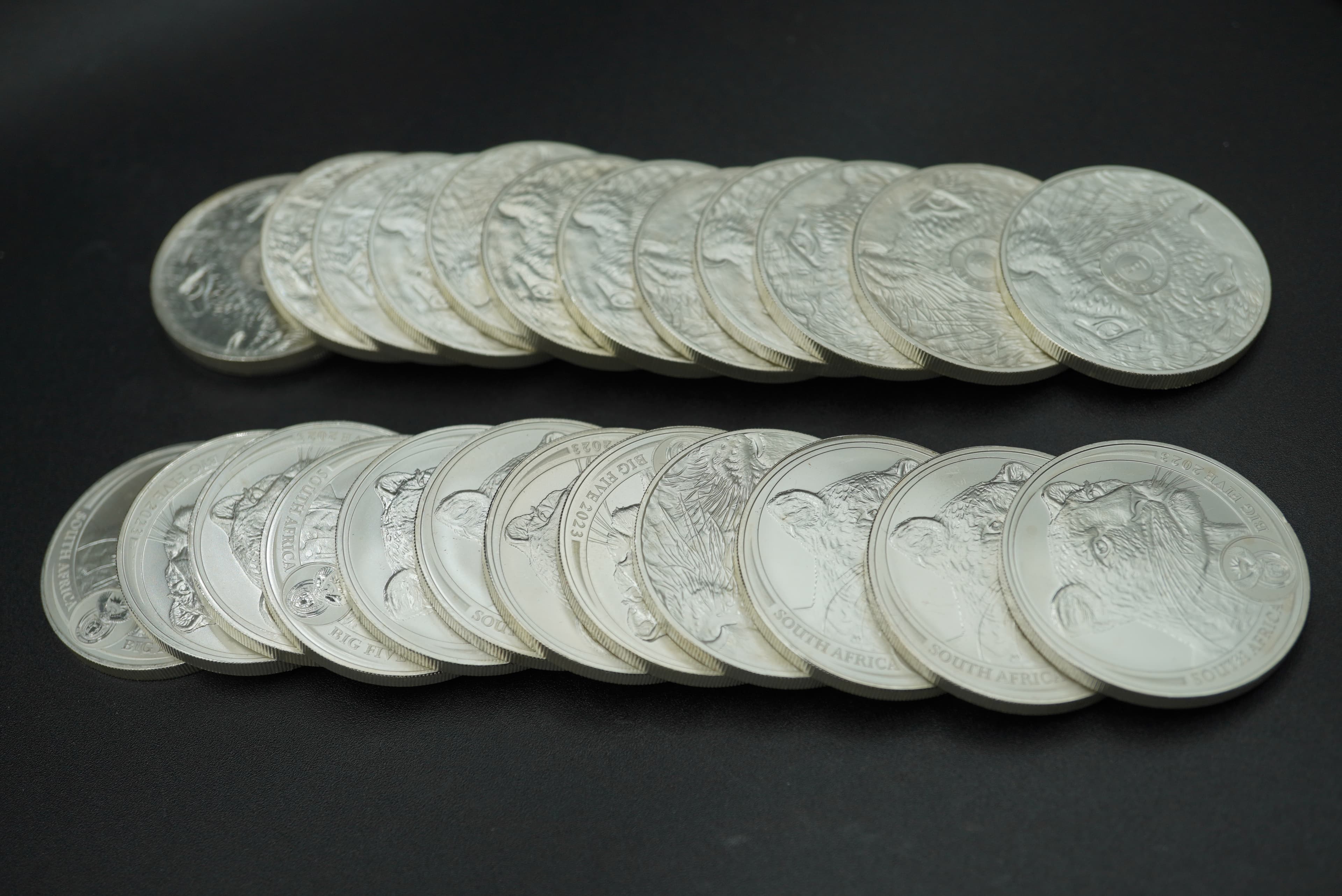2023 BIG Five 1oz Leopard