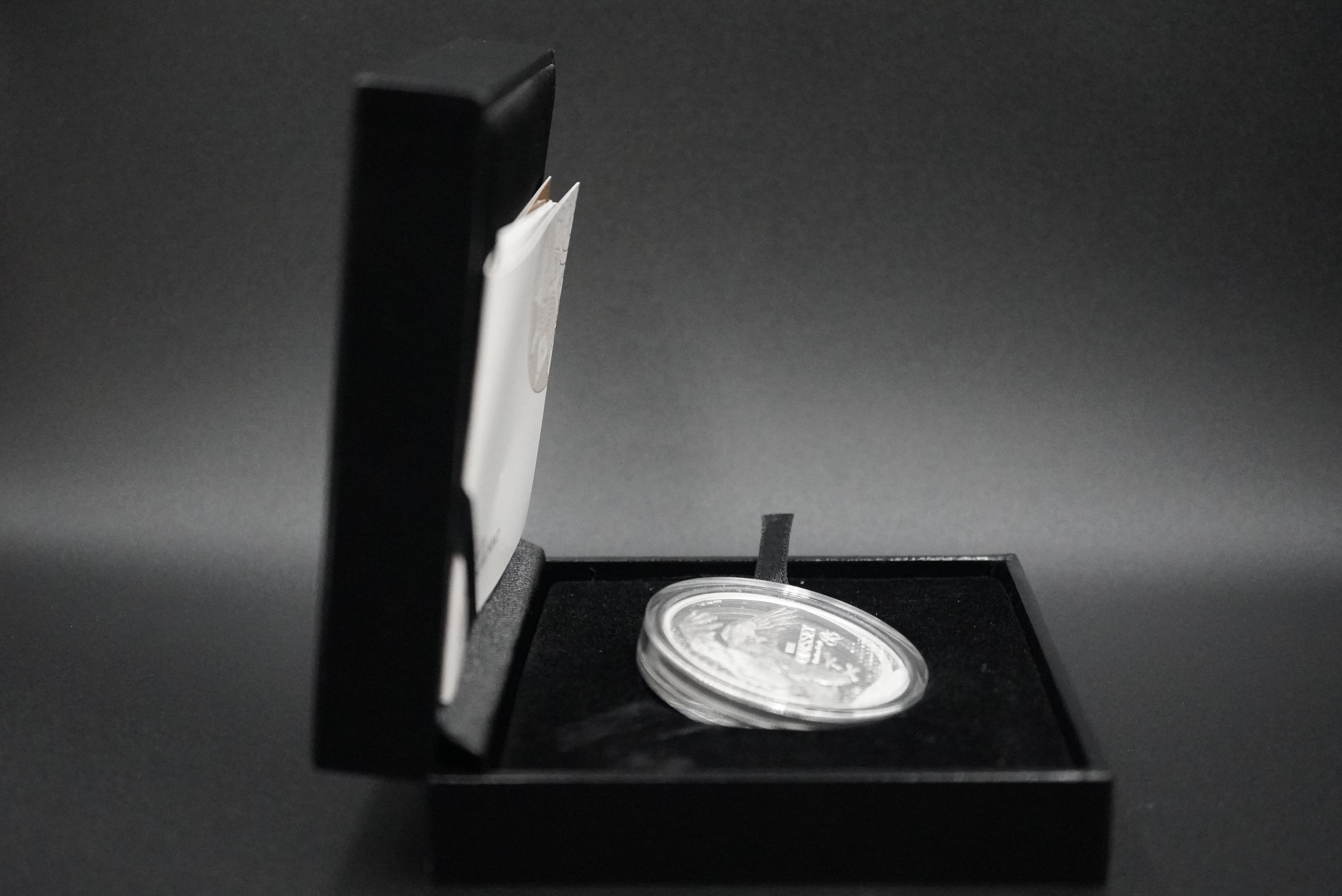 2025 S.Africa R5 1oz Fine Silver Coin Odyssey of the Sky-Bateleur Eagle