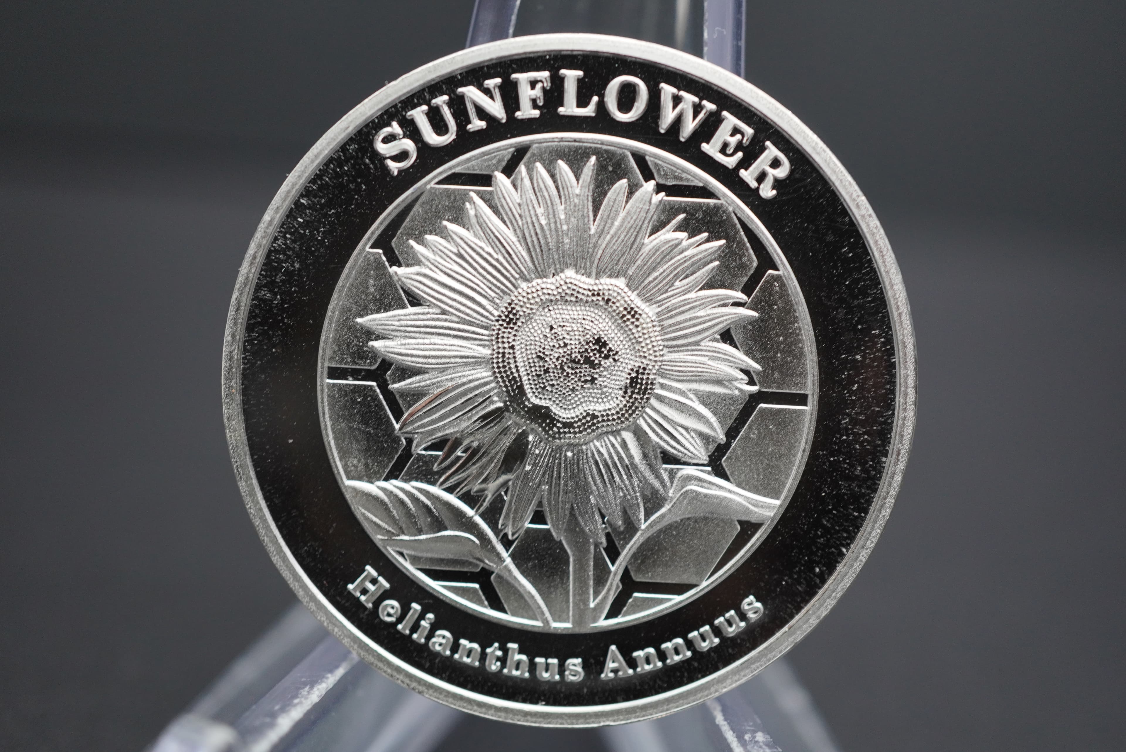 2026 SAAND African Honeybee Silver 1oz Tube