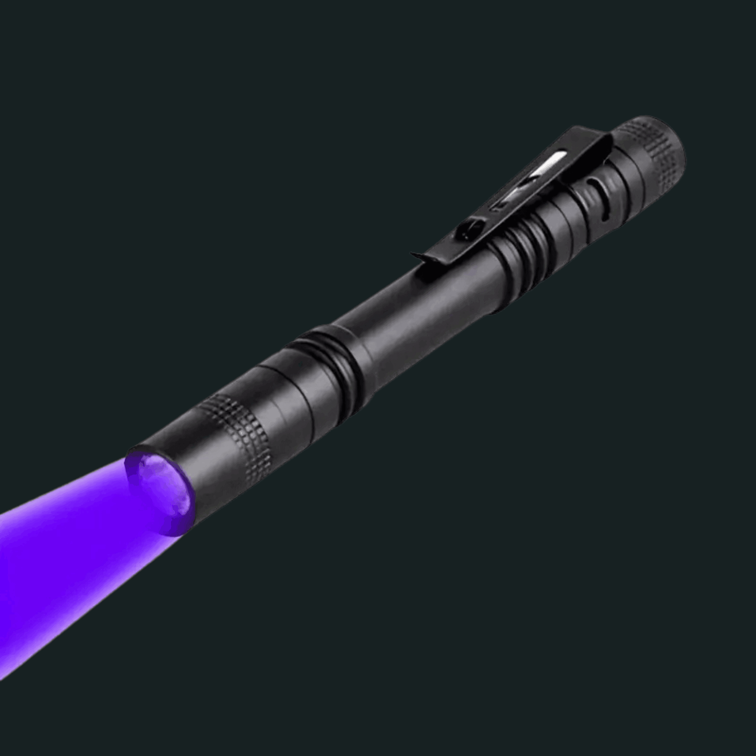 395nm UV blacklight flashlight pen